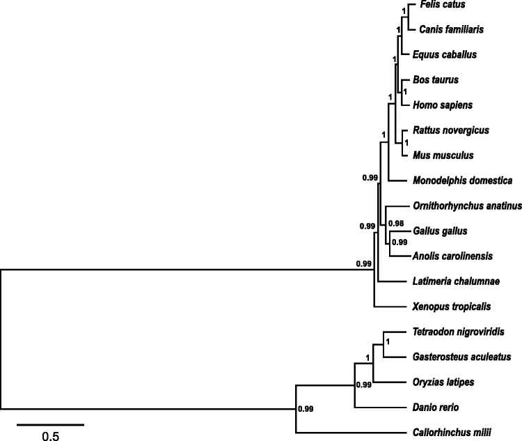 Fig. 3.—