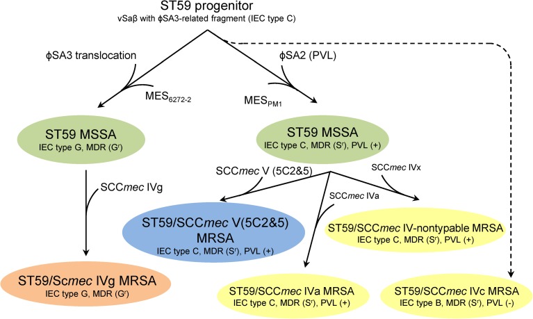 Fig 6