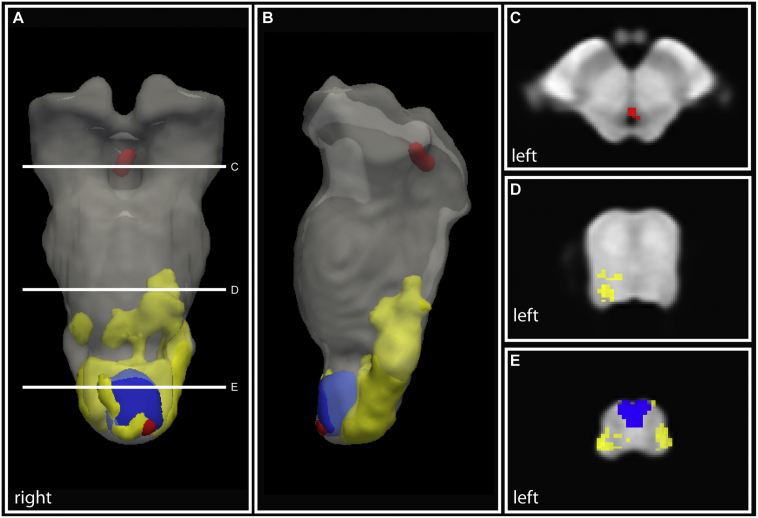 Fig. 3: