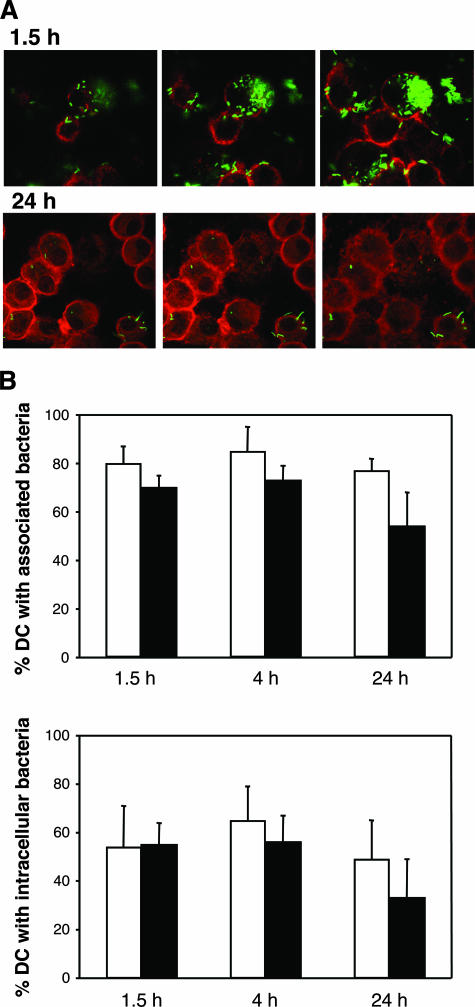 FIG. 4.