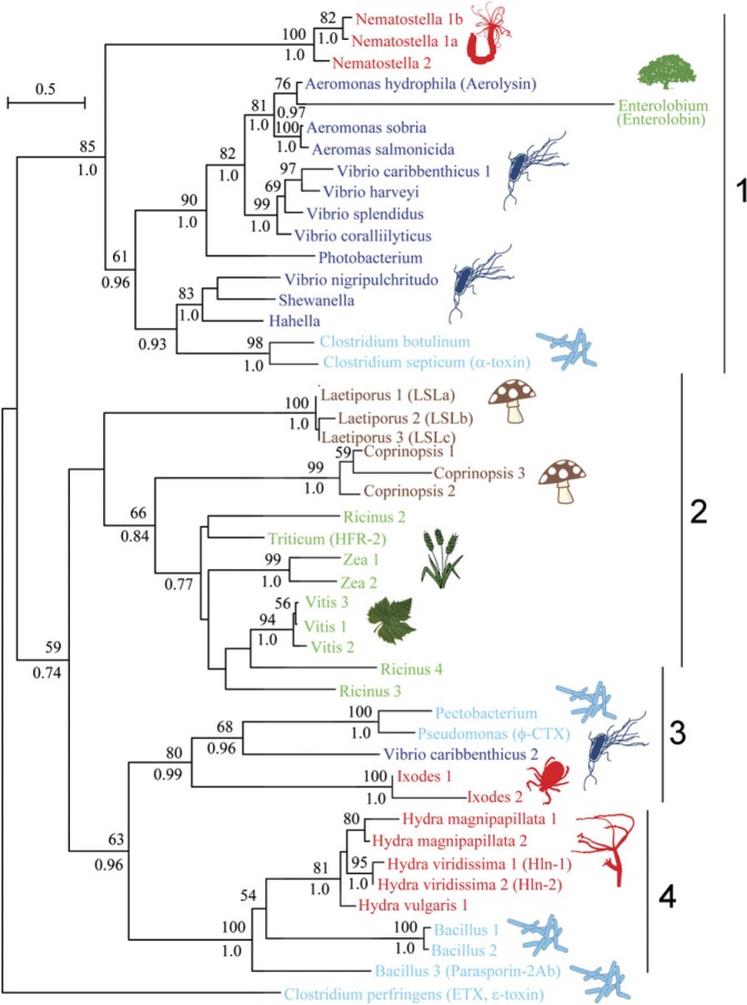 FIG. 2.