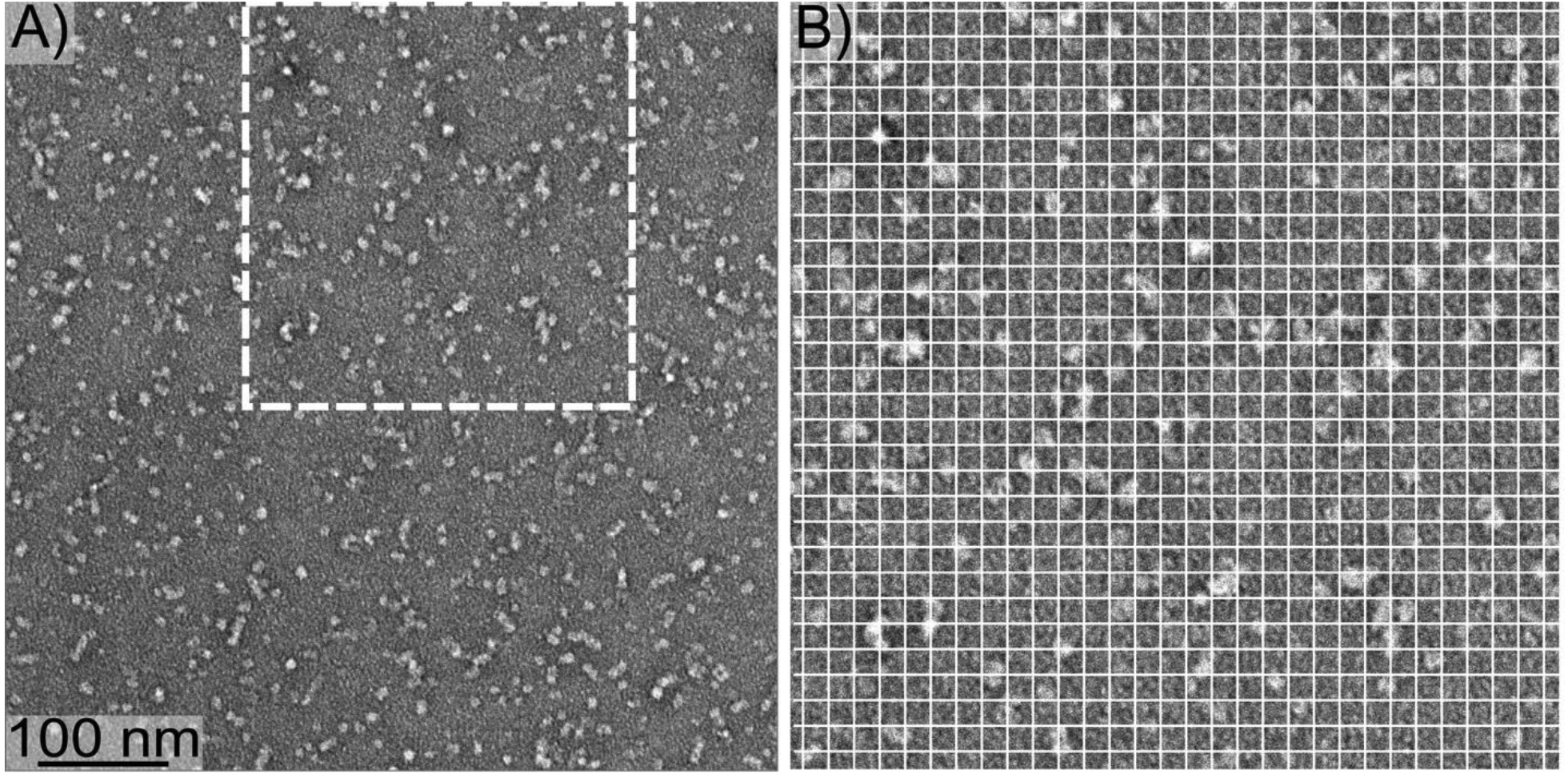 Figure 1: