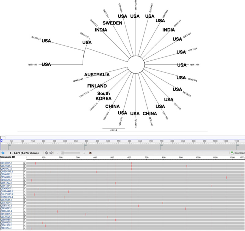 Fig. 7