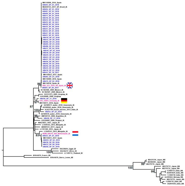 Figure 2