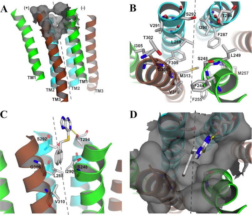 FIGURE 9.