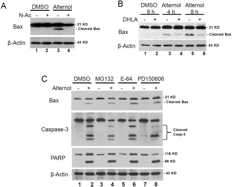 Fig 6