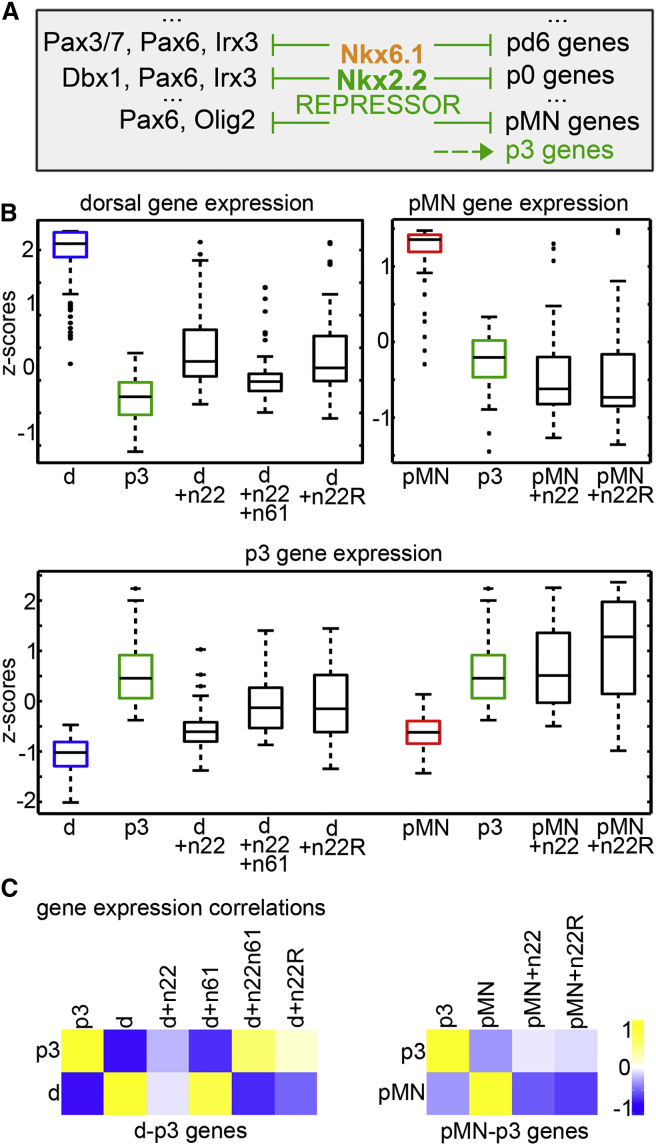 Figure 4