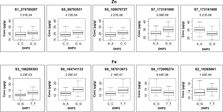 Fig. 3