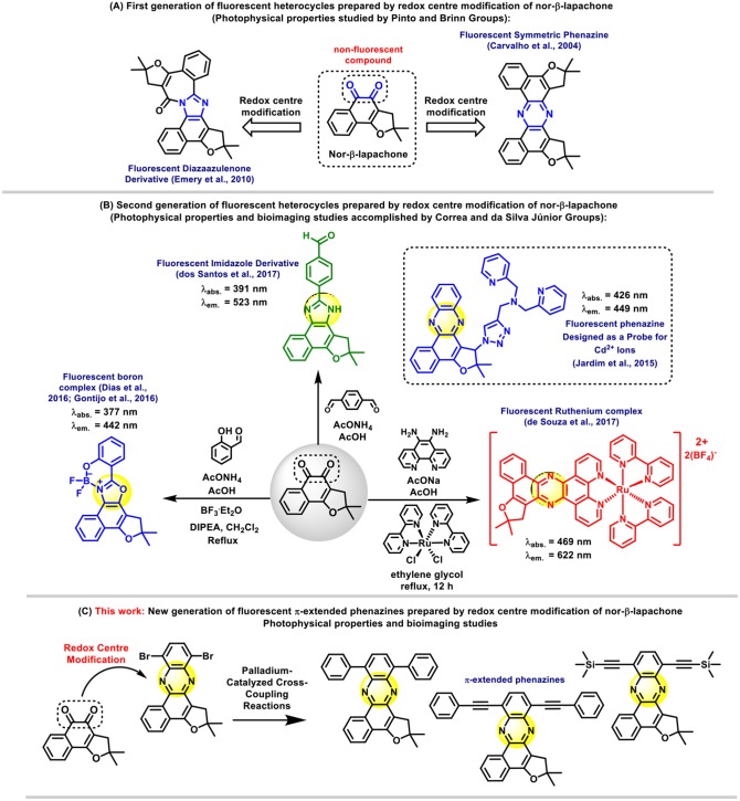 Scheme 1