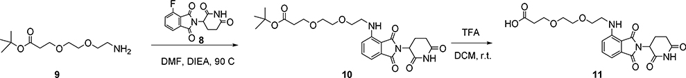 Scheme 3: