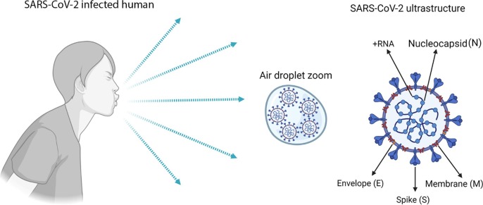 Fig. 1