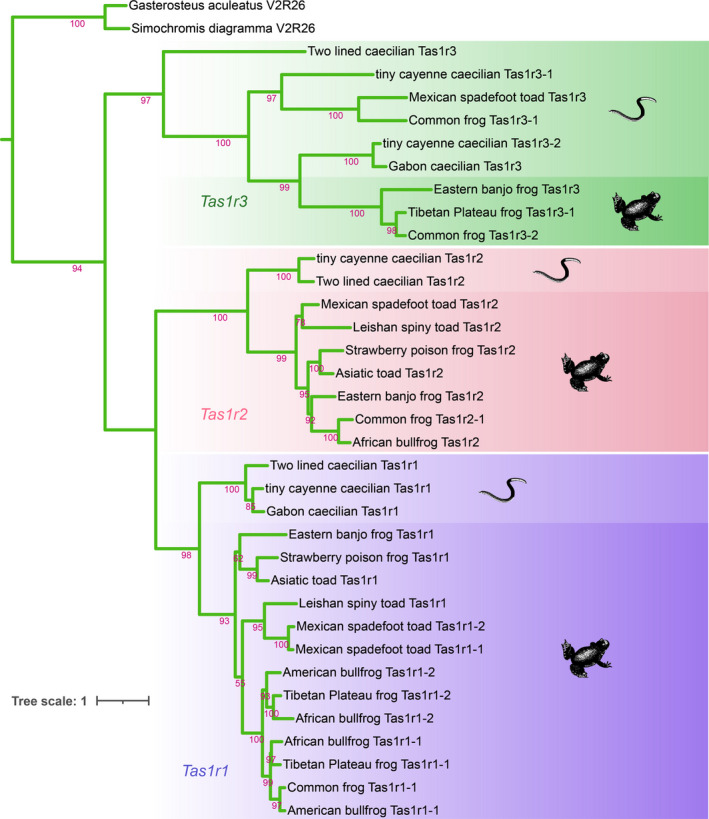 FIGURE 2