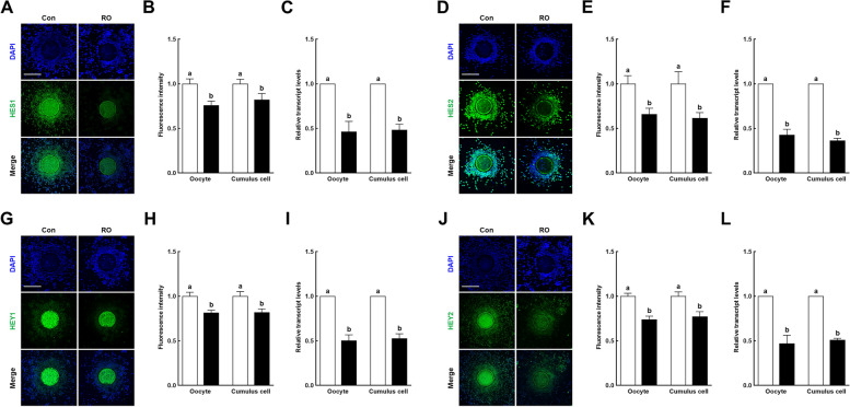 Fig. 6