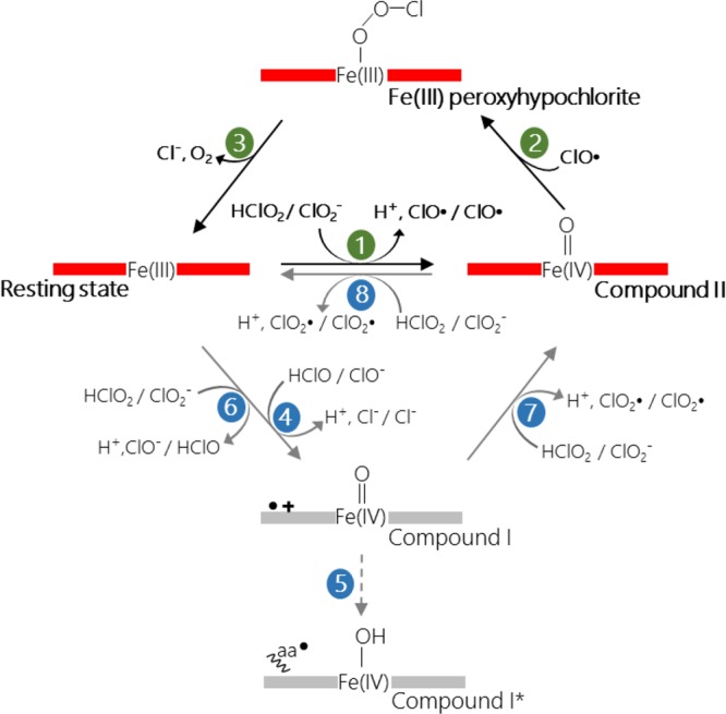 Scheme 1