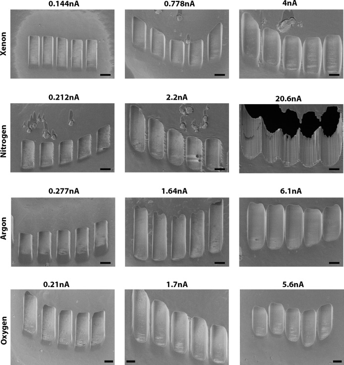 Figure 1—figure supplement 3.