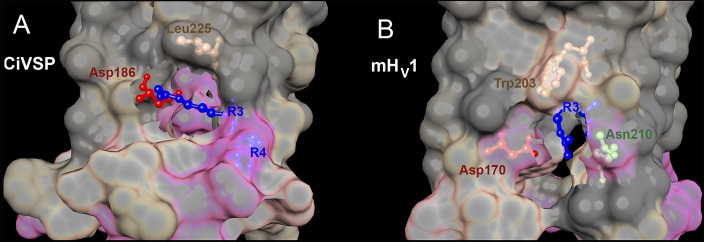 Figure 11.