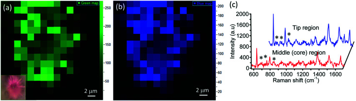 Fig. 8