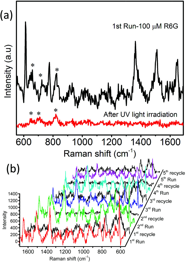 Fig. 10