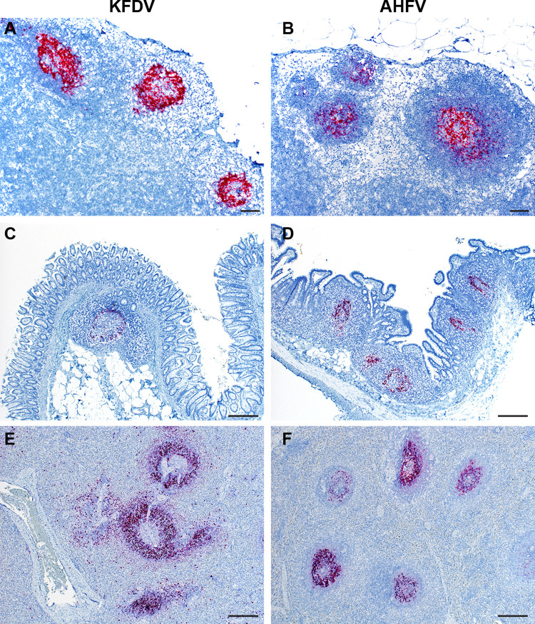 Fig 5