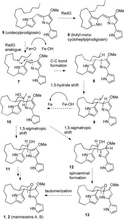 Scheme 2