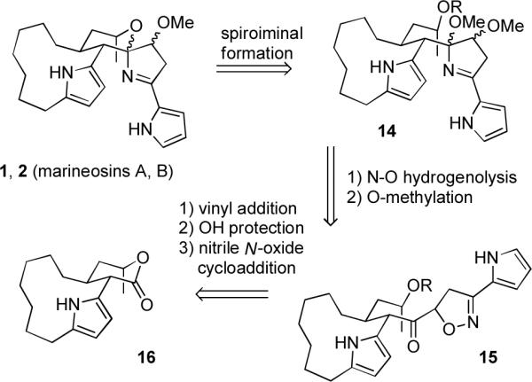 Scheme 3