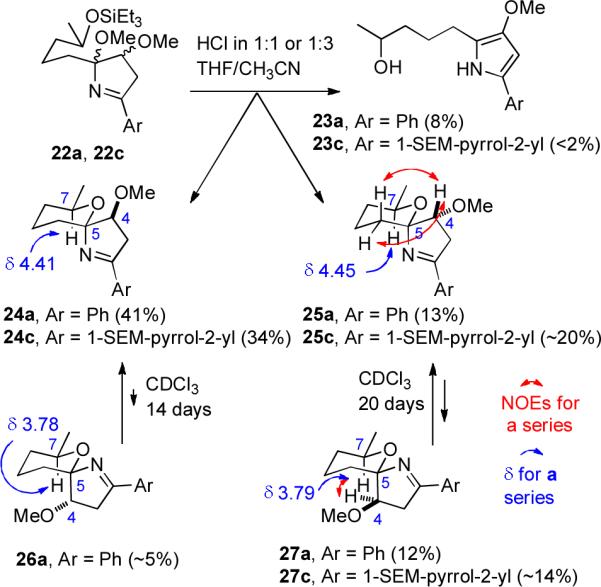 Scheme 5