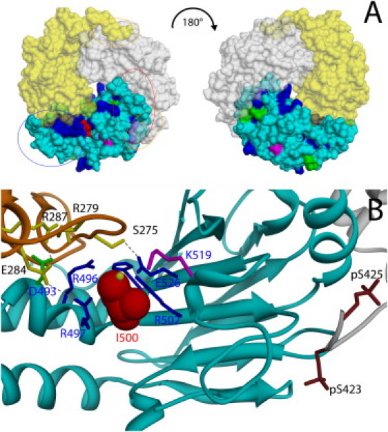 Figure 2