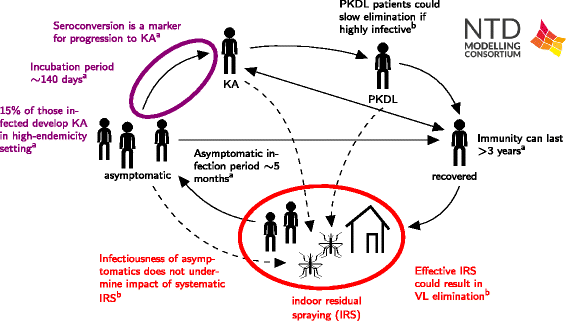 Fig. 9