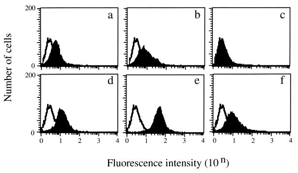 FIG. 1
