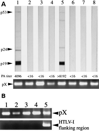 FIG. 8