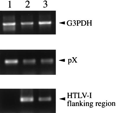 FIG. 7