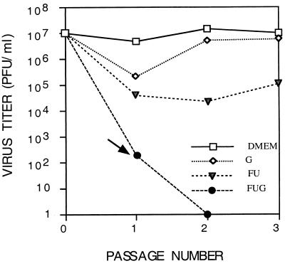 FIG. 3