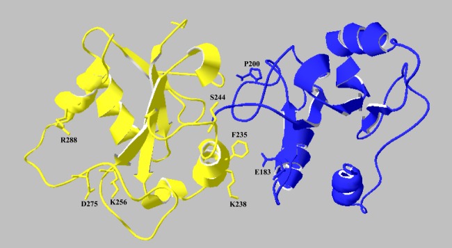 FIGURE 4.