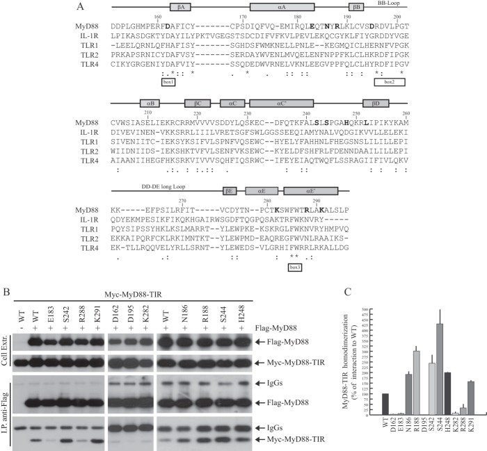 FIGURE 1.