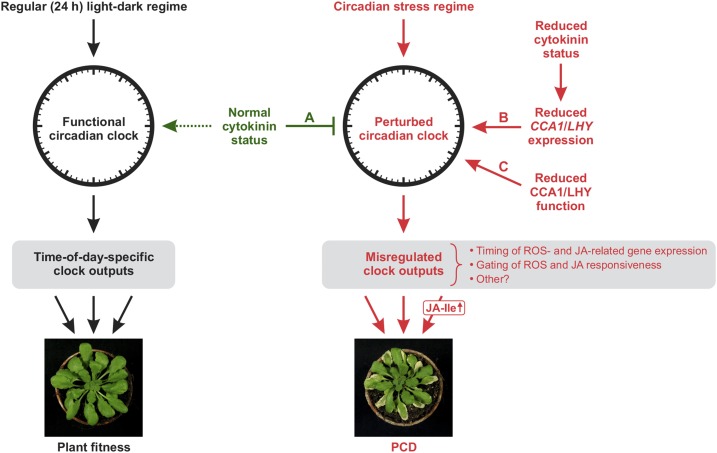 Figure 13.