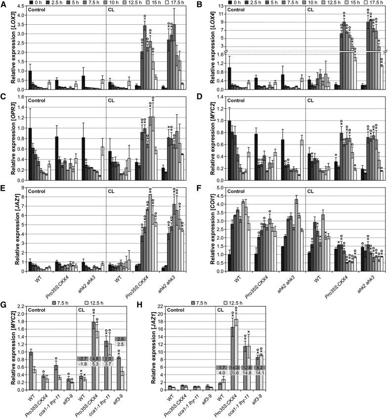 Figure 11.