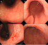 Fig. 3