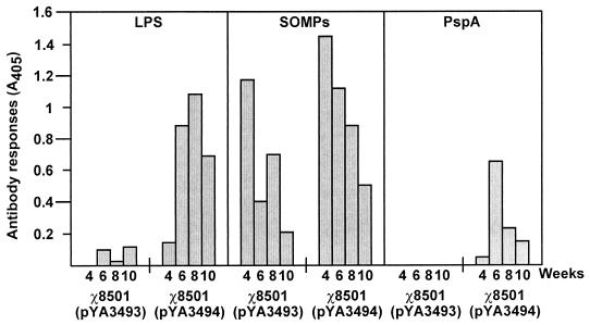 FIG. 7.