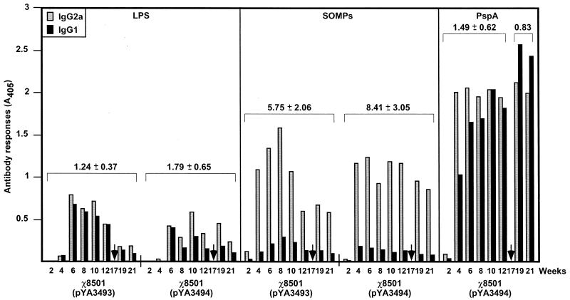 FIG. 8.