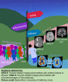 Graphical abstract
