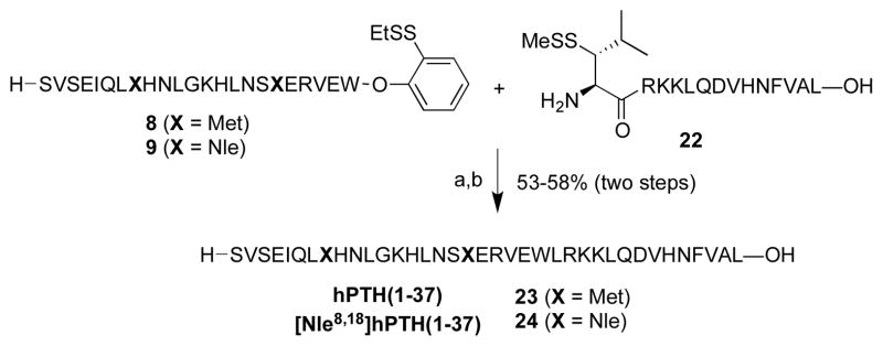 Scheme 4