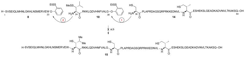 Scheme 2