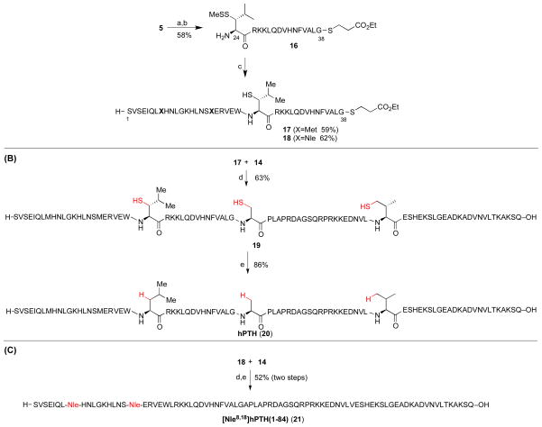 Scheme 3