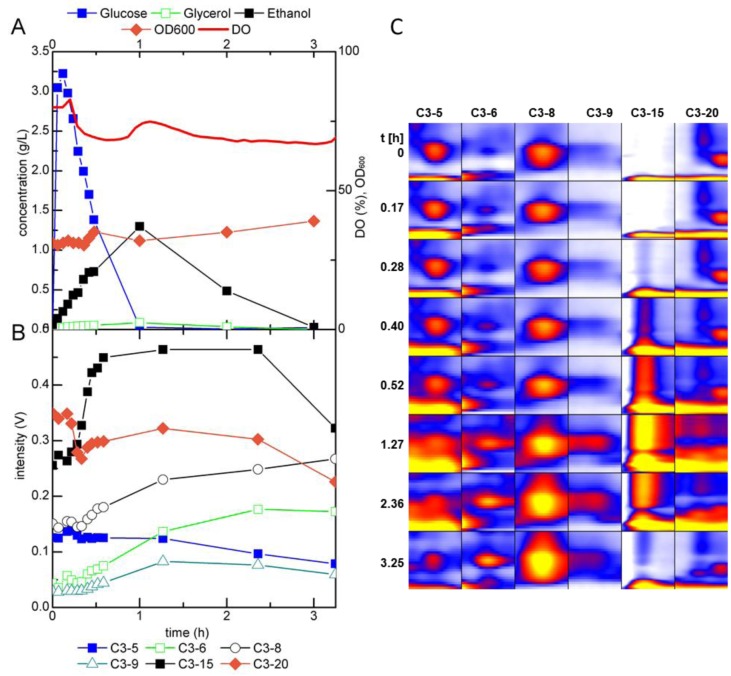 Figure 7