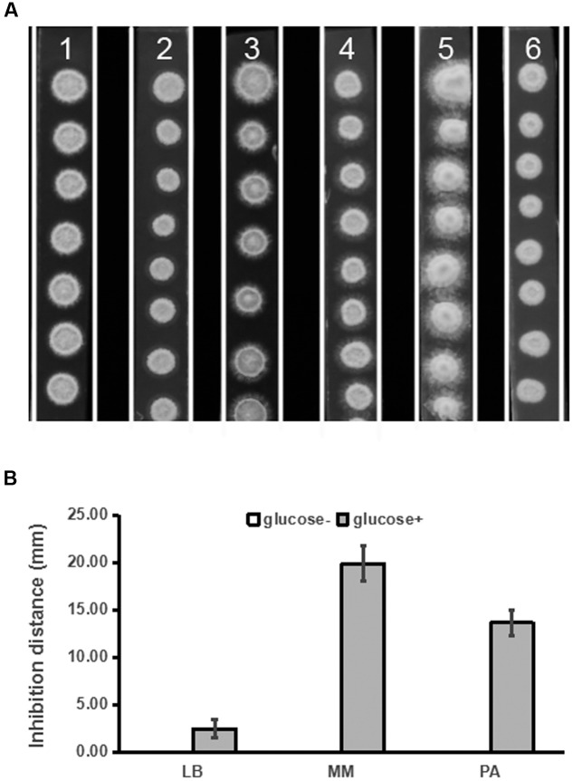 FIGURE 3