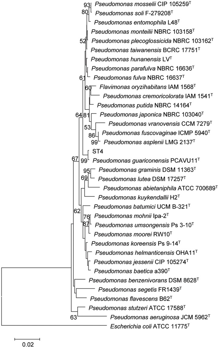 FIGURE 7