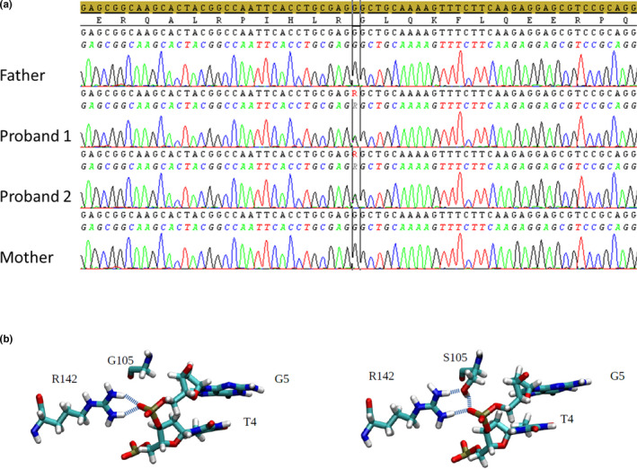 FIGURE 1