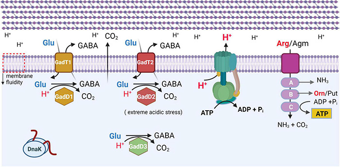 FIGURE 2