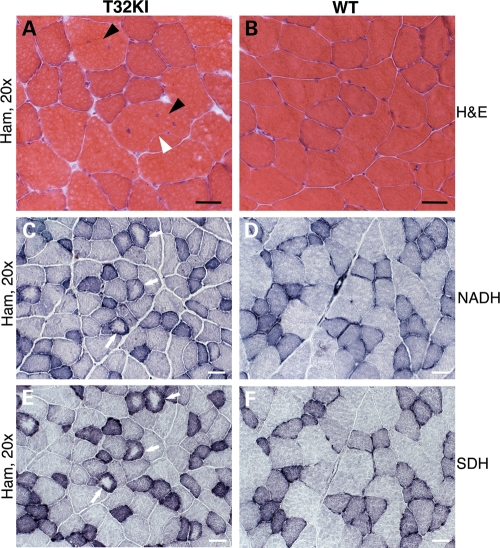 Figure 3.