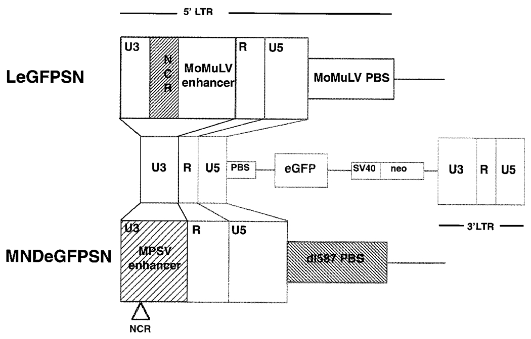 Fig 1.